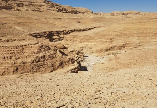 תרבות של בטיחות ואחריות